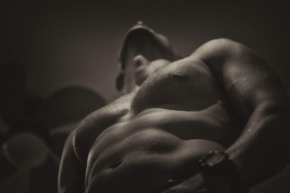 Muscle building